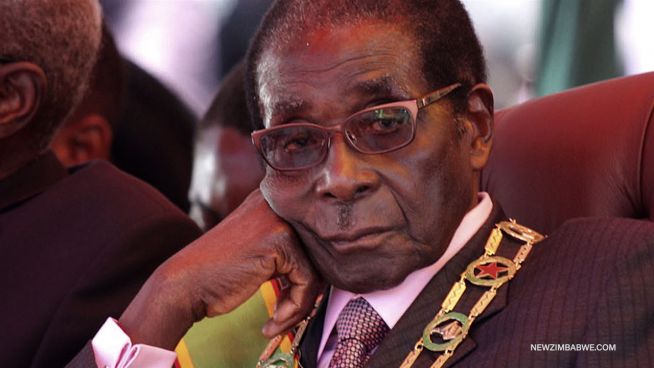 Veränderung in Simbabwe: Was kommt nach Mugabe?