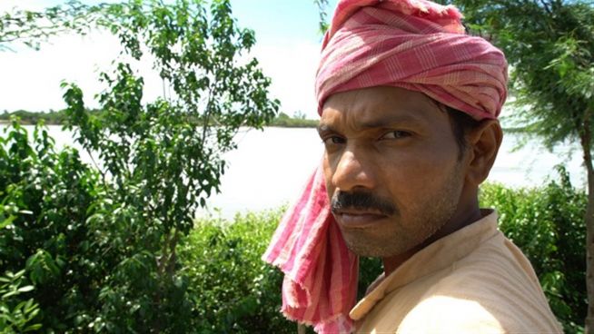 König der Mangroven: Ein Mann pflanzt einen Wald