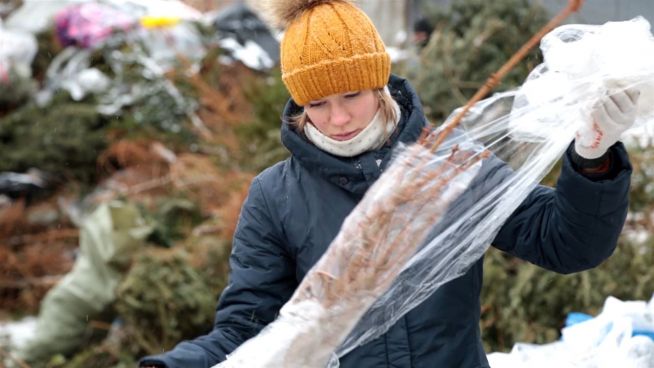 Für den guten Zweck: Russen recyceln Tannenbäume