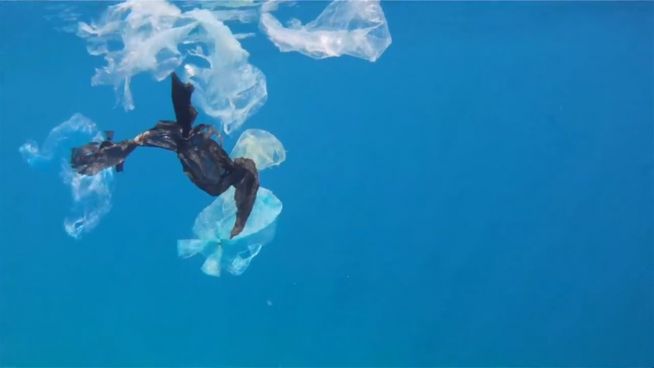 Plastikfreie Ozeane: Niederländer will Meere säubern