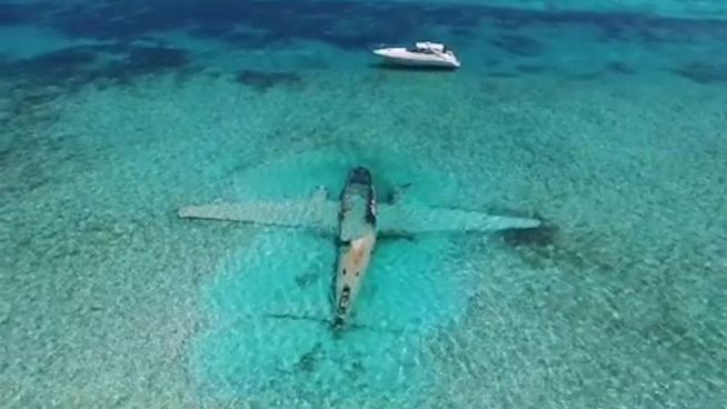 Nach Absturz: Lehders Flugzeug als Korallenriff