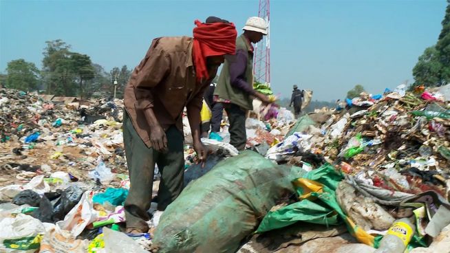 Zu viel Plastik im Meer: Strafen in Kenia